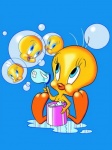 titi+bulles
